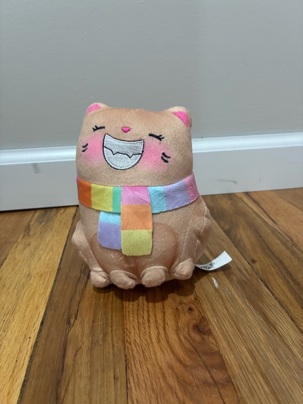 Moriah Elizabeth Cathy the Cat